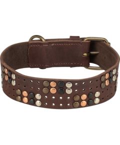 Trixie Rustic Rivet, obroża, dla psa, ze skóry naturalnej, ciemny brązowy, S–M: 34–40 cm/30 mm Citas preces