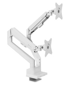 Arozzi Desk Mount Neo Duo - Gas Spring Monitor Arm AZ-ALZARE-NEO-DUO-WT Tilt, Swivel, Rotation Maximum weight (capacity) 9 kg White Крепления для телевизоров