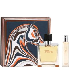 Terre D´ Hermes Dárková sada EDT 100 ml a EDT 15 ml 100ml Мужская парфюмерия