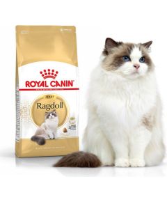 Royal Canin Ragdol Adult karma sucha dla kotów dorosłych rasy ragdoll 0.4 kg Kaķu sausā barība