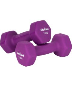 Hantelki żeliwne neoprenowe HEX 2x2.5kg, REBEL ACTIVE Велосипеды
