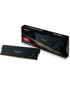 Biostar DDR4 Storming V memory module 8 GB 1 x 8 GB 3200 MHz (DX32NU4H08) Оперативная память (RAM)
