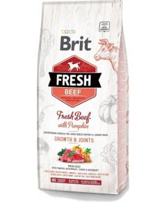 BRIT Fresh Puppy&Junior Large Growth&Joints Beef with Pumpkin - dry dog food - 12 kg Suņu barība