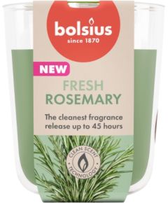 Bolsius Ароматическая свеча в стеклянном стакане True Scents Ø80x73 мм с ароматом розмарина. Свечи и подсвечники