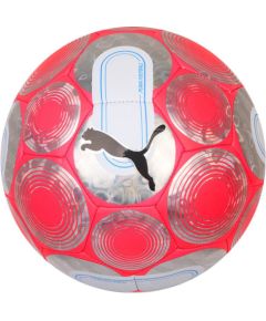 Puma Cage Ball 084074-01 Football (5) Для футбола