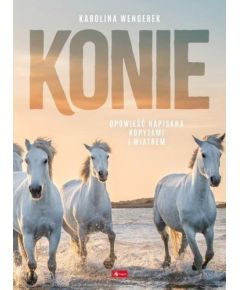 Dragon Konie Figūriņas un varoņi