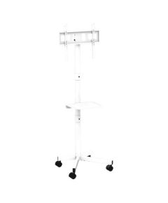 TV stiprinājums Gembird 32" - 55" TV floor stand with caster wheels White TV un monitoru stiprinājumi, kronšteini