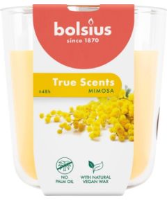 Bolsius Svece arom. stikla gl. True Scents Ø97x85mm mimosa Sveces un svečturi