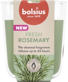Bolsius Svece arom. stikla gl. True Scents Ø97x85mm rosemary Sveces un svečturi