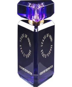 State Of Mind Creative Inspiration Parfum 100ml Духи унисекс