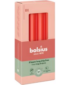 Bolsius Настольные свечи, 8 шт., в коробке, 170/20 мм, красные. Свечи и подсвечники