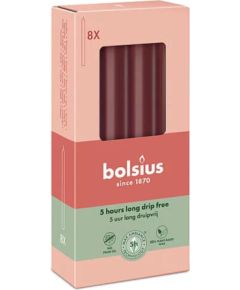 Bolsius Настольные свечи, 8 шт., в коробке, 170/20 мм, темно-красные. Свечи и подсвечники