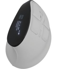 Natec Mouse Euphonie Pro Wireless 2.4 GHz, Bluetooth White Peles, ievadierīces