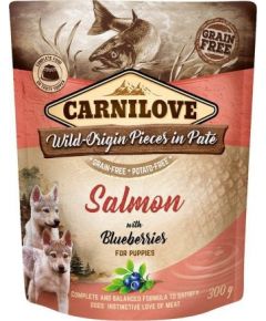 Carnilove Brit Carnilove Salmon Blueberries Łosoś Jagody Bezzbożowa dla Szczeniąt 300 g Suņu barība