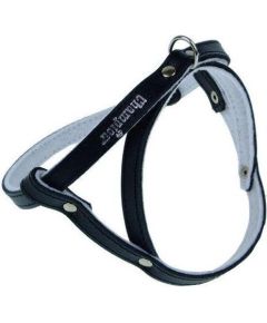 Champion Szelki 50 czarne SD Citas preces