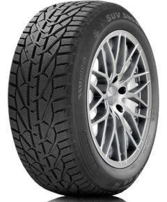 Orium Winter 225/55R16 95H Зимние покрышки