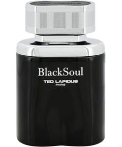 Ted Lapidus Black Soul  Eau De Toilette For Men 50ml Духи и косметика