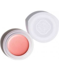 Shiseido Paperlight Cream Eyeshadow Or707 Sango Coral 6 g Dekoratīvā kosmētika