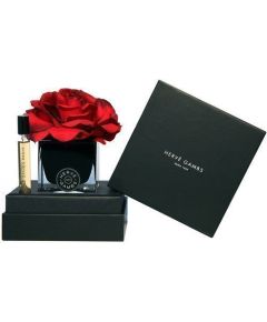 Set Herve Gambs: Ecorce Fauve Room Spray 10ml + Black Couture Flower Porcelain Aroma Reed Diffuser Black Dāvanu komplekti