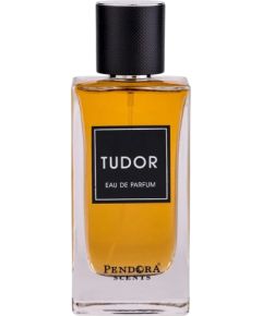 Pendora Scents Tudor Eau De Parfum For Men 100ml Smaržas - NESAKĀRTOTS