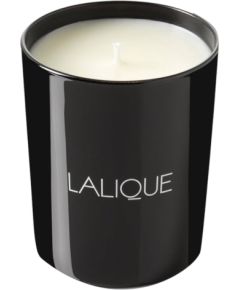 Lalique, Figuier Amalfi Italie, Scented Candle, 600 g Telpu aromāti