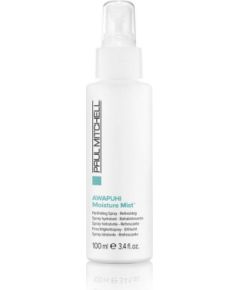 Paul Mitchell, Instant Moisture Awapuhi, Paraben-Free, Hair Leave-In Cream Treatment, For Moisturizing, 100 ml Matu kopšana