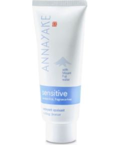 Annayake, Purity, Water from Mount Fuji, Eliminates Impurities, Cleansing Foaming Cream, 150 ml *Tester Уход за лицом