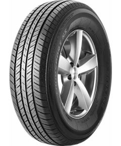 Nankang N-605 225/70R15 100H Vasaras riepas