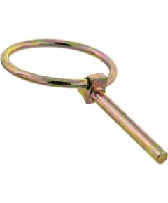 Lynch Ppin, MTD  Резервные акции