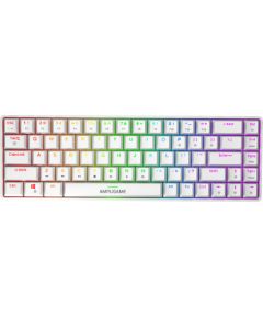 Fifine GK1W mechancial keyboard, 65% RGB (white) Klaviatūras