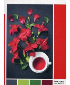Clementoni, Pantone, Goji Berry, Puzzle, Unisex, 1000 pcs Пазлы