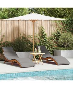 Vidaxl 2 sztuki leżaków z wzmocnieniami, ciemnoszare, lite drewno akacjowe Шезлонги и пляжные стулья