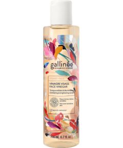 Gallinee, Microbiome Skincare, Vinegar, Tones/Soothes & Brightens, Tonic Lotion, For Face, 200 ml Sejas kopšana