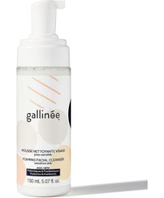 Gallinee, Microbiome Skincare, Prebiotics & Postbiotics, Purifying, Cleansing Foaming Cream, 150 ml Sejas kopšana