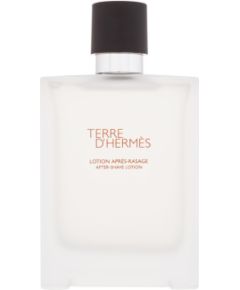 Terre d'Hermes 100ml Vīriešu Smaržas