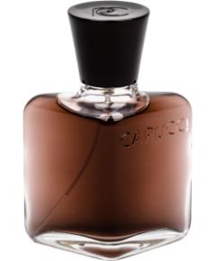 Roberto Capucci L´Homme Suave 100ml Мужская парфюмерия