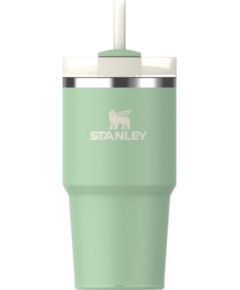 Stanley Термокружка с трубочкой The Quencher H2.O FlowState Tumbler 0.59L фисташкового цвета Термо кружки