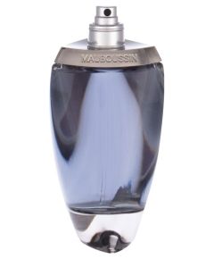 Tester Homme 100ml Vīriešu Smaržas