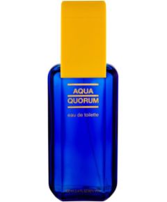 Antonio Puig Agua Quorum 100ml Мужская парфюмерия
