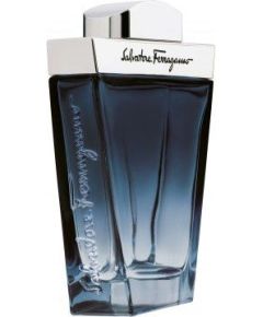 SALVATORE FERRAGAMO Subtil EDT 100ml