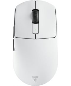 Secret Gear ZX2 WHITE Peles, ievadierīces