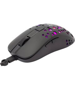 White Shark GM-9004 Tristan Peles, ievadierīces