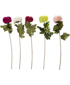  Jaunumi, mēbeles, māja