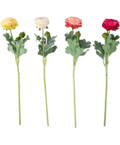  Jaunumi, mēbeles, māja