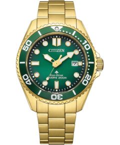 Citizen Promaster Marine Eco-Drive BN0262-59W Наручные часы