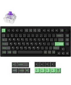 KEYBOARD WRL P1 HE RGB/BLACK P1H-M1Z KEYCHRON Klaviatūras
