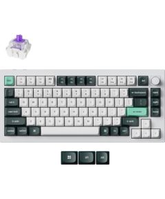 KEYBOARD WRL Q1 HE RGB/SHELL WHITE Q1H-P1 KEYCHRON Klaviatūras
