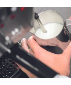 Gaggia Coffee Maker RI9481/11 Classic E24 Pump pressure 15 bar Built-in milk frother Semi-automatic Brushed Stainless Steel Кофеварки