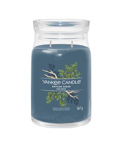 Yankee Candle Bayside Cedar Signature Candle 368.0g Telpu aromāti