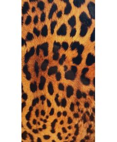 Evelatus Universal  Leopard Colorful Film for Screen Cutter Ekrānu aizsardzība